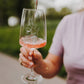 Vinodino-Gläser-Set